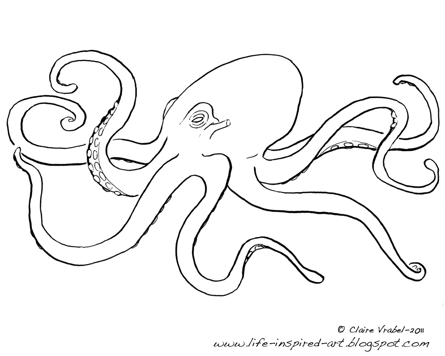着色页: 章鱼 (动物) #18979 - 免费可打印着色页