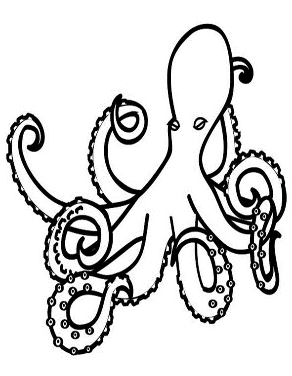 着色页: 章鱼 (动物) #19011 - 免费可打印着色页