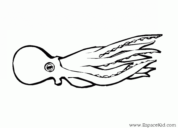 着色页: 章鱼 (动物) #19065 - 免费可打印着色页