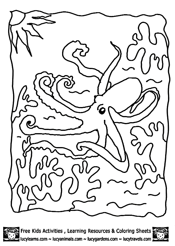 着色页: 章鱼 (动物) #19071 - 免费可打印着色页