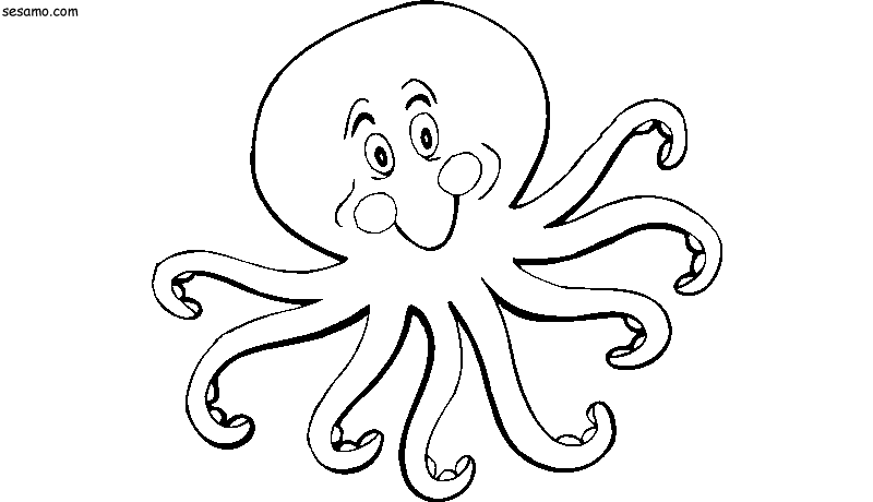 着色页: 章鱼 (动物) #19076 - 免费可打印着色页