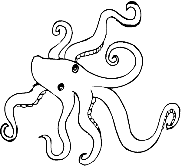 着色页: 章鱼 (动物) #19104 - 免费可打印着色页