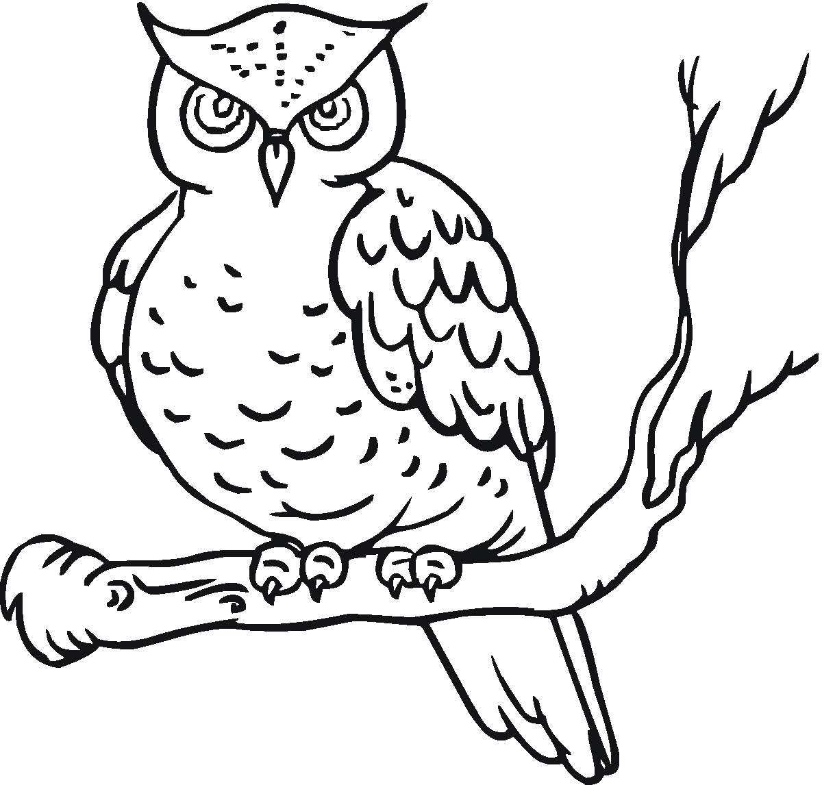 着色页: 猫头鹰 (动物) #8411 - 免费可打印着色页