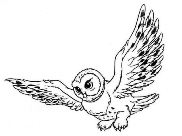 着色页: 猫头鹰 (动物) #8414 - 免费可打印着色页