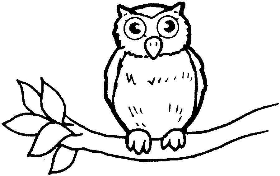着色页: 猫头鹰 (动物) #8417 - 免费可打印着色页