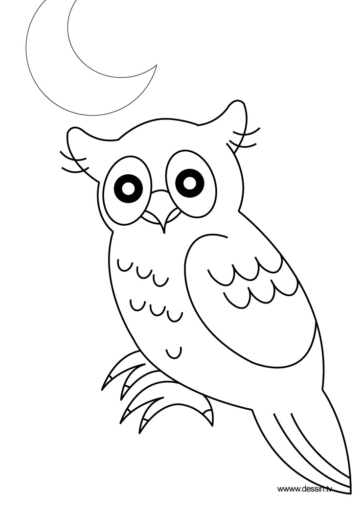 着色页: 猫头鹰 (动物) #8419 - 免费可打印着色页
