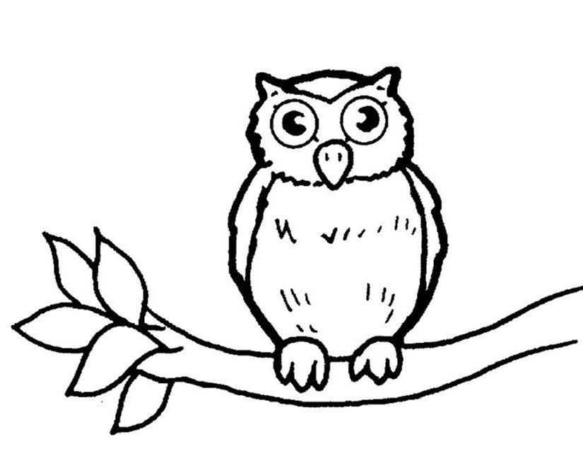 着色页: 猫头鹰 (动物) #8462 - 免费可打印着色页