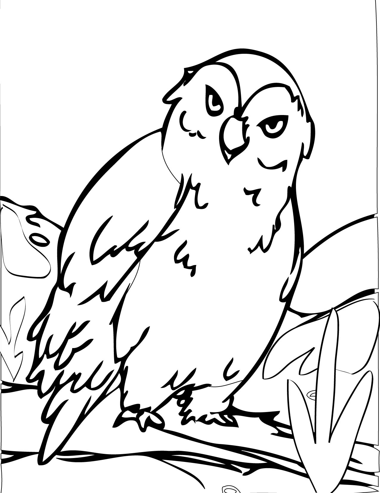 着色页: 猫头鹰 (动物) #8467 - 免费可打印着色页