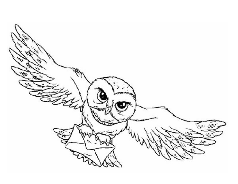 着色页: 猫头鹰 (动物) #8478 - 免费可打印着色页