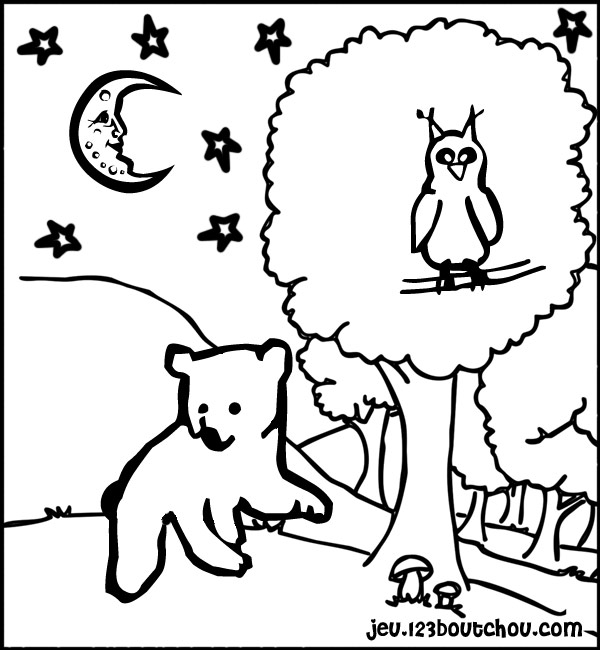 着色页: 猫头鹰 (动物) #8494 - 免费可打印着色页