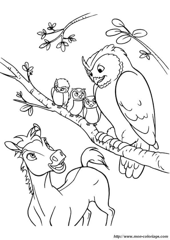 着色页: 猫头鹰 (动物) #8495 - 免费可打印着色页