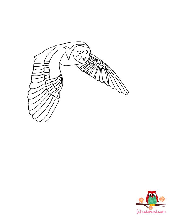 着色页: 猫头鹰 (动物) #8552 - 免费可打印着色页