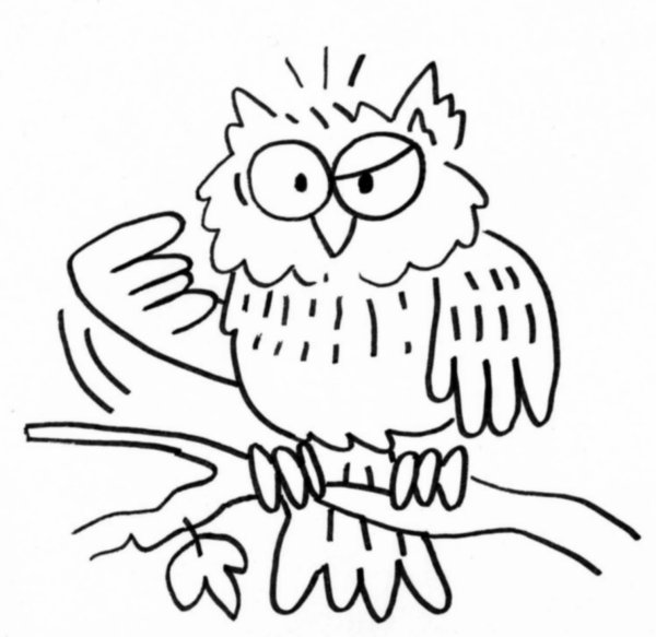 着色页: 猫头鹰 (动物) #8578 - 免费可打印着色页
