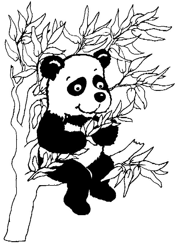 着色页: 熊猫 (动物) #12448 - 免费可打印着色页