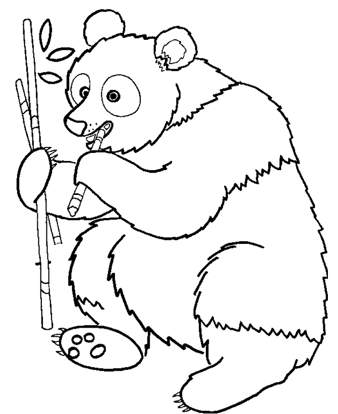 着色页: 熊猫 (动物) #12463 - 免费可打印着色页