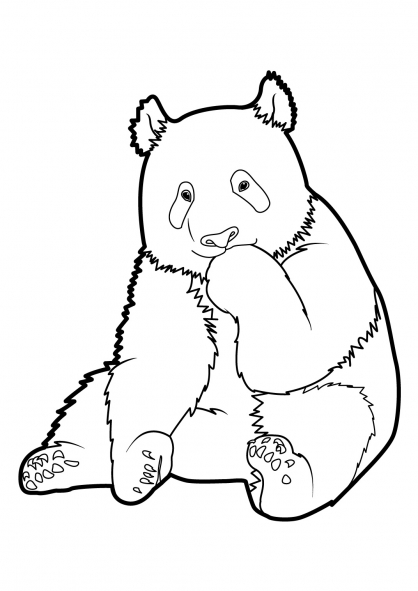 着色页: 熊猫 (动物) #12465 - 免费可打印着色页