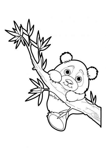 着色页: 熊猫 (动物) #12476 - 免费可打印着色页