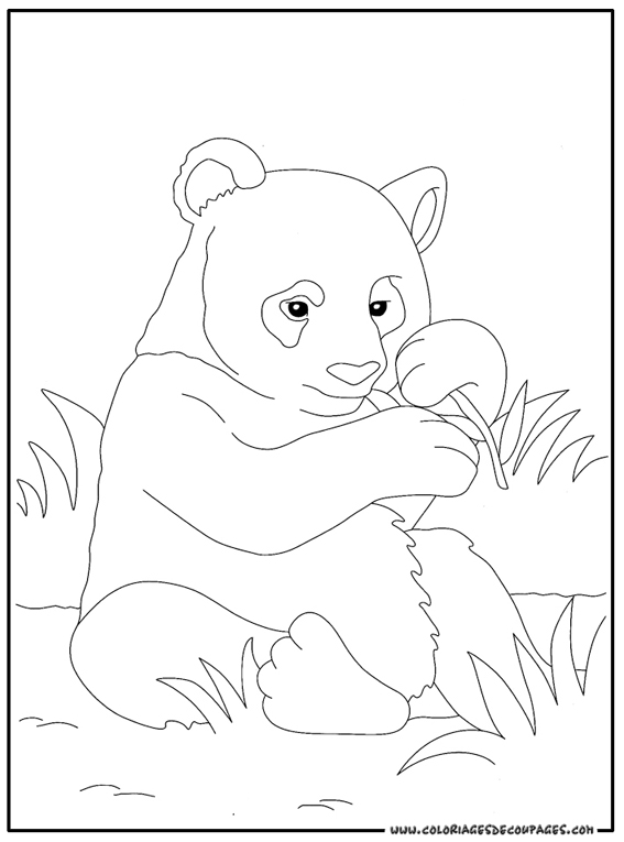 着色页: 熊猫 (动物) #12488 - 免费可打印着色页