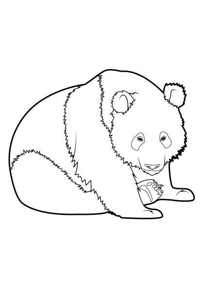 着色页: 熊猫 (动物) #12509 - 免费可打印着色页