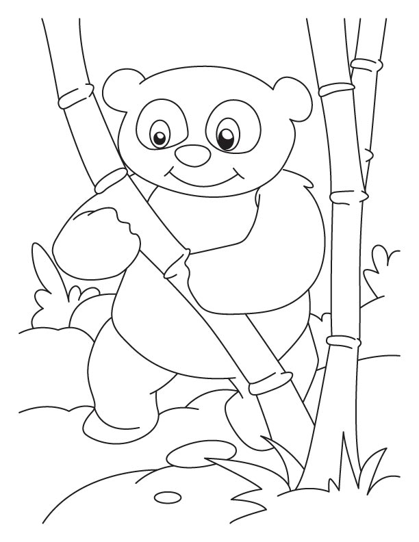 着色页: 熊猫 (动物) #12550 - 免费可打印着色页