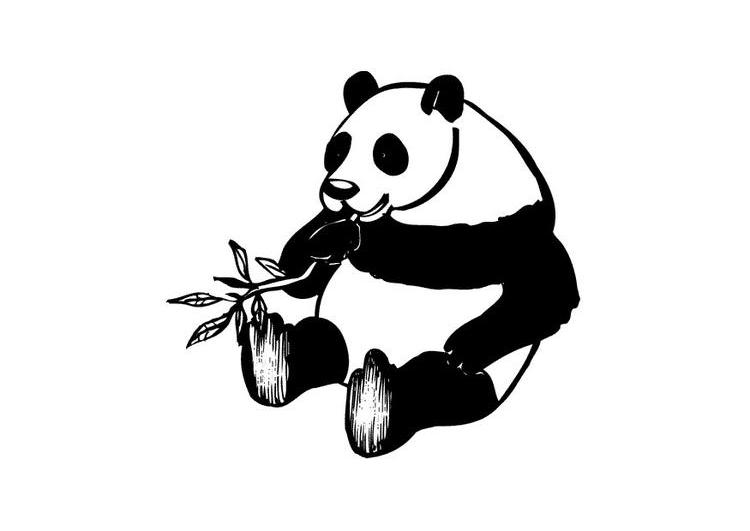 着色页: 熊猫 (动物) #12586 - 免费可打印着色页