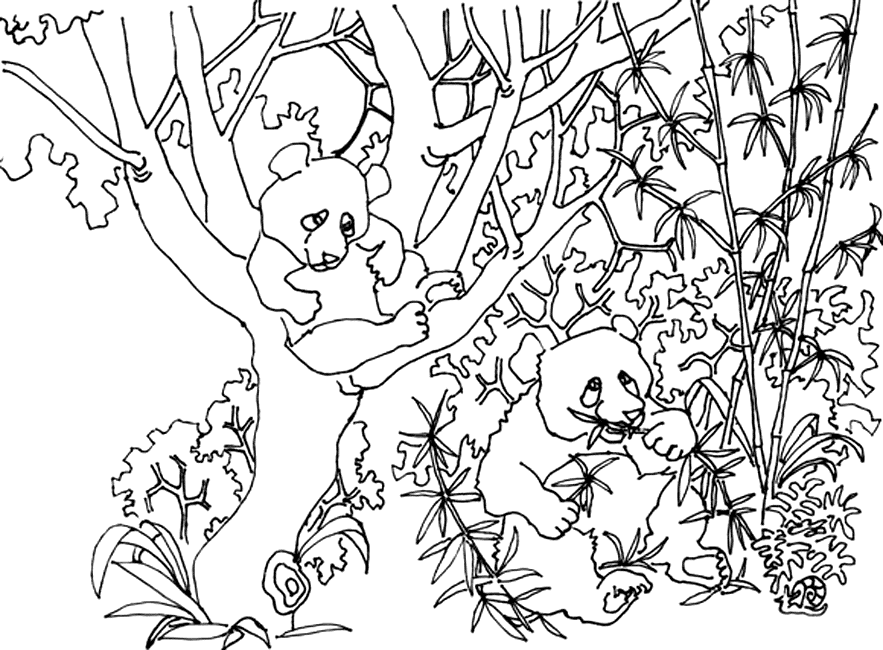 着色页: 熊猫 (动物) #12603 - 免费可打印着色页