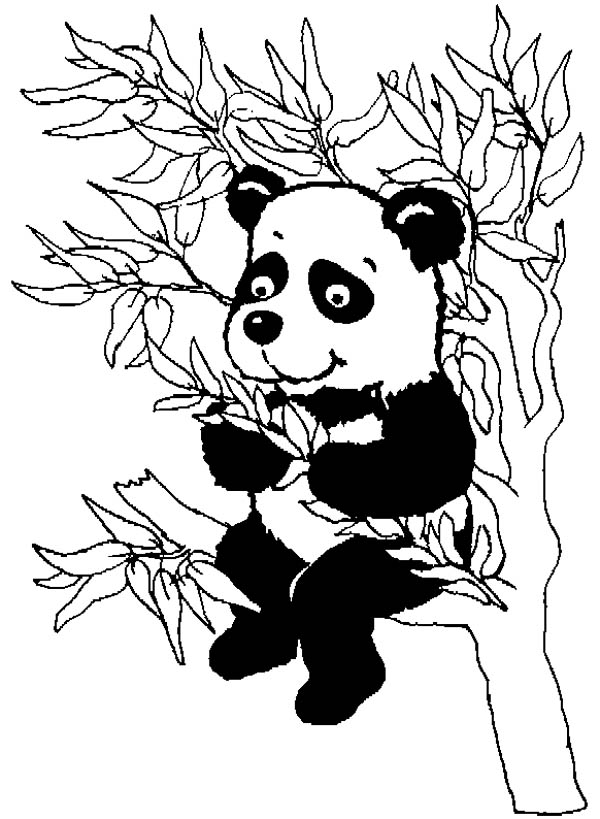 着色页: 熊猫 (动物) #12610 - 免费可打印着色页