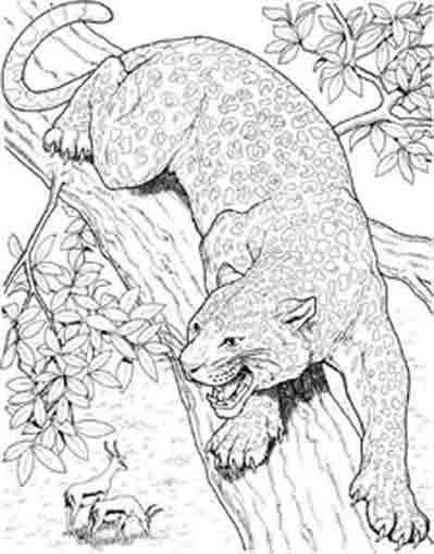 着色页: 豹 (动物) #15518 - 免费可打印着色页
