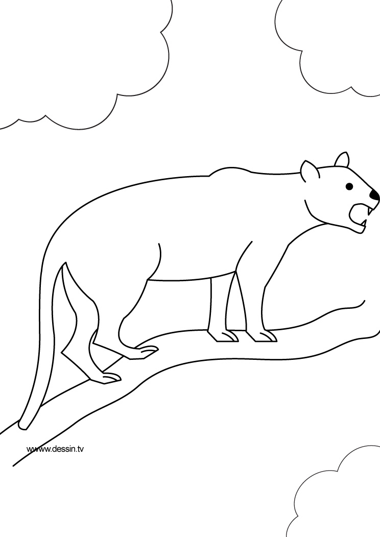着色页: 豹 (动物) #15525 - 免费可打印着色页