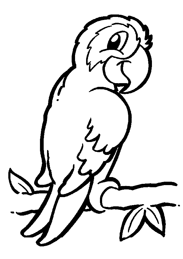 着色页: 鹦鹉 (动物) #16061 - 免费可打印着色页