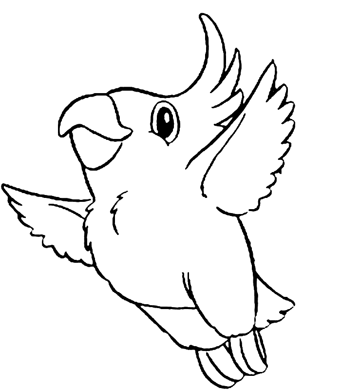 着色页: 鹦鹉 (动物) #16063 - 免费可打印着色页