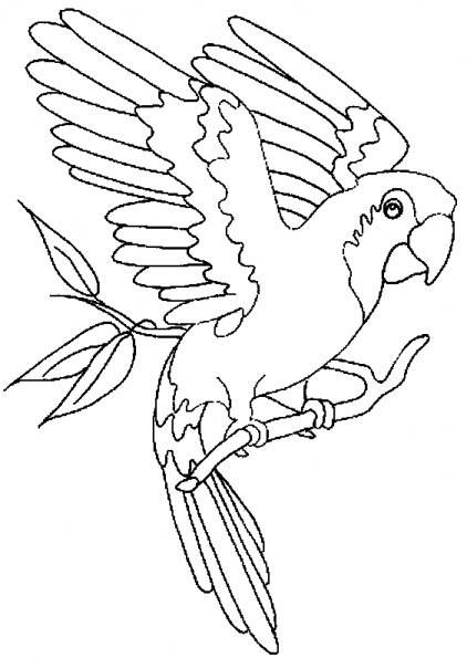 着色页: 鹦鹉 (动物) #16072 - 免费可打印着色页