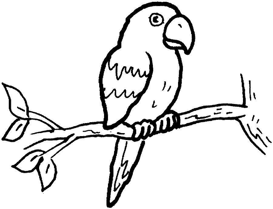 着色页: 鹦鹉 (动物) #16074 - 免费可打印着色页