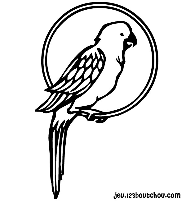 着色页: 鹦鹉 (动物) #16080 - 免费可打印着色页