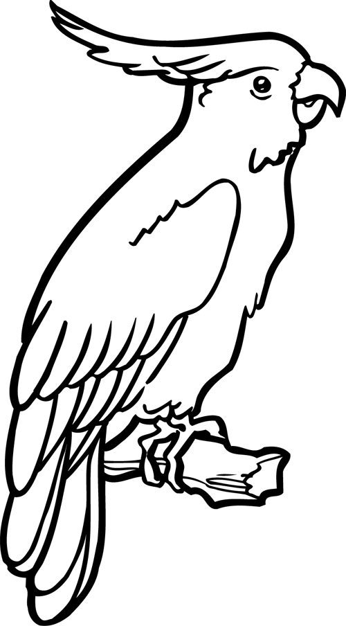 着色页: 鹦鹉 (动物) #16081 - 免费可打印着色页