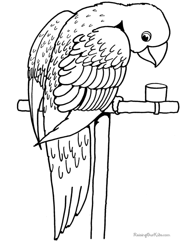 着色页: 鹦鹉 (动物) #16090 - 免费可打印着色页