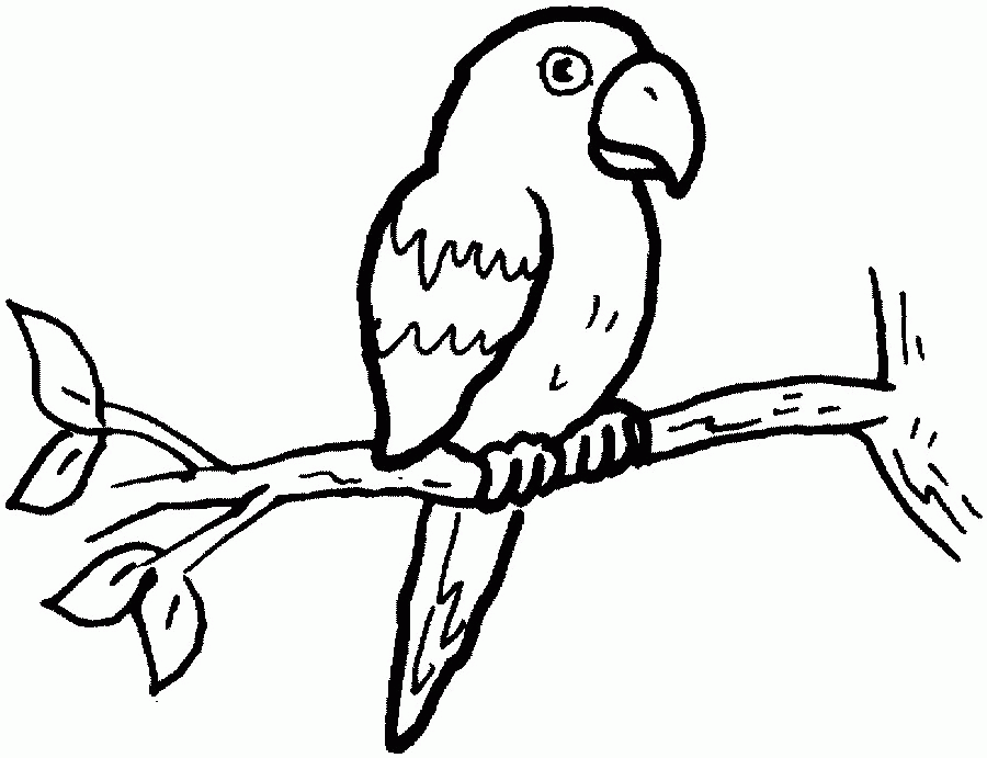 着色页: 鹦鹉 (动物) #16099 - 免费可打印着色页