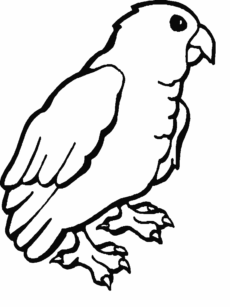 着色页: 鹦鹉 (动物) #16109 - 免费可打印着色页