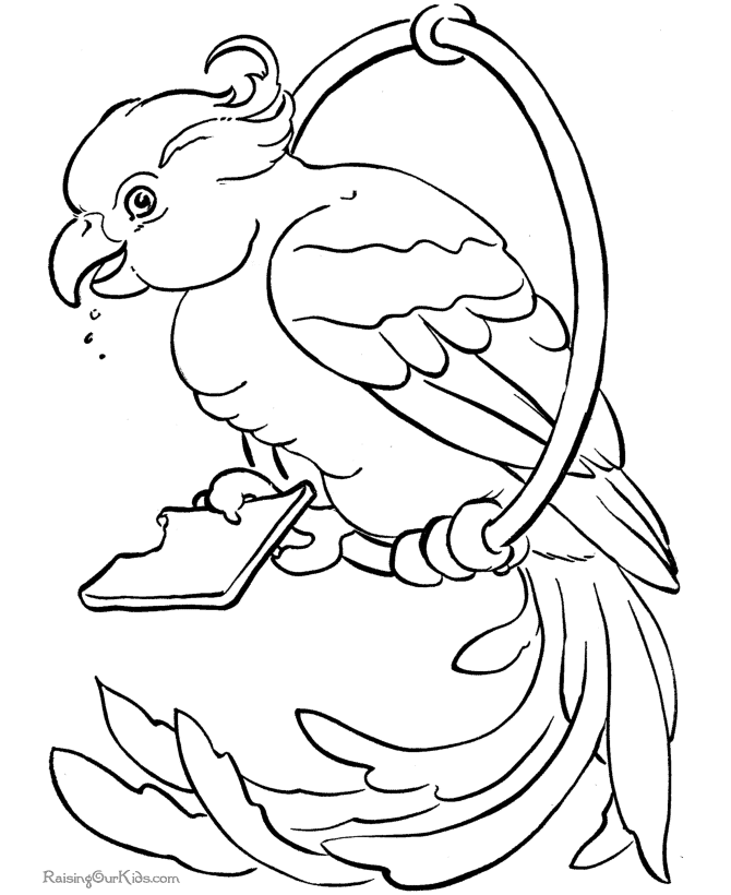 着色页: 鹦鹉 (动物) #16141 - 免费可打印着色页