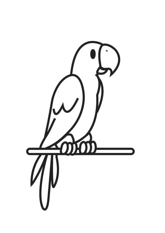 着色页: 鹦鹉 (动物) #16148 - 免费可打印着色页