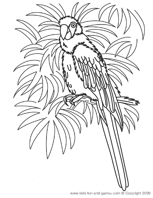 着色页: 鹦鹉 (动物) #16150 - 免费可打印着色页