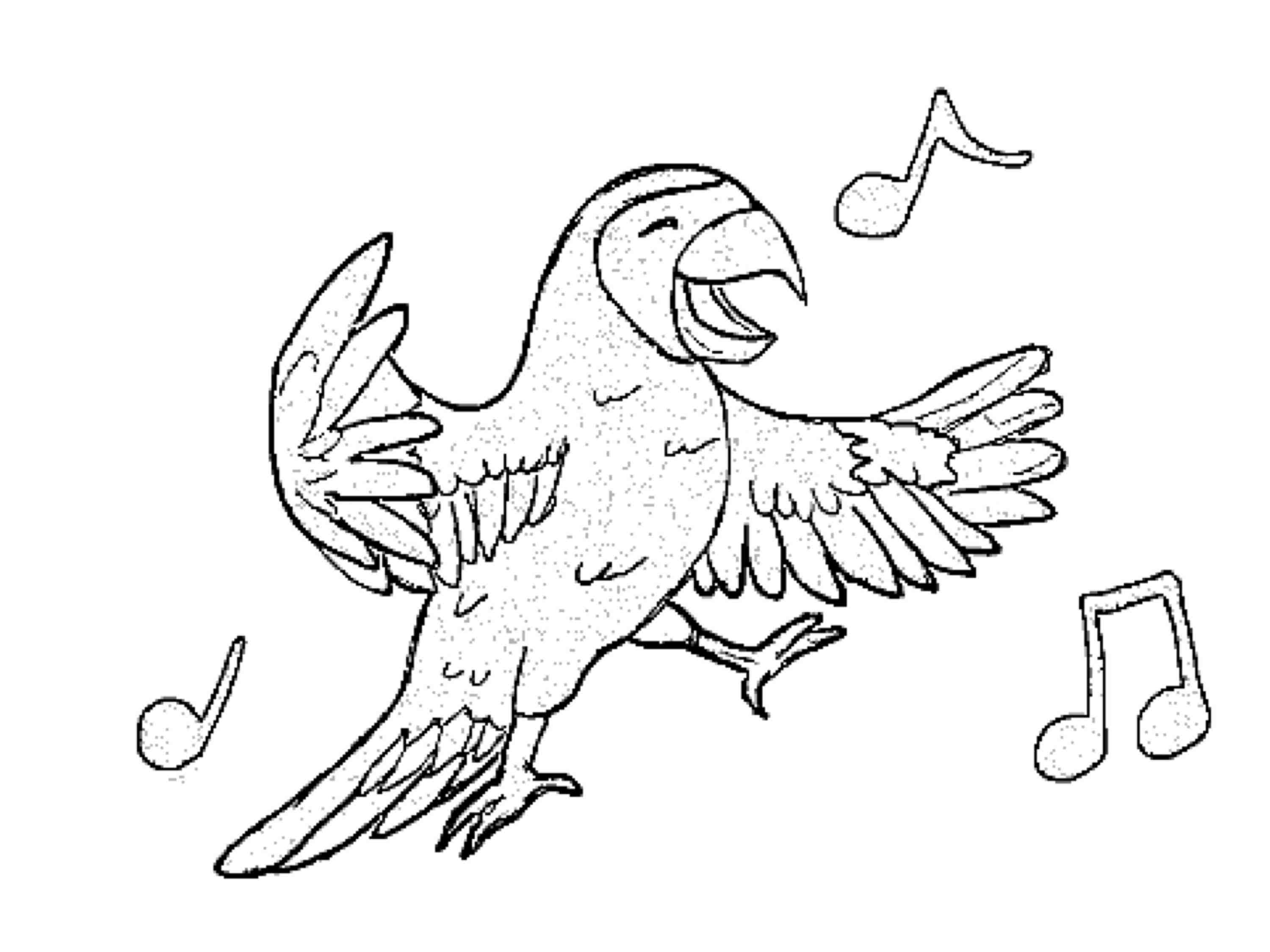 着色页: 鹦鹉 (动物) #16186 - 免费可打印着色页