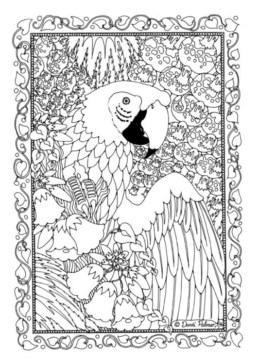 着色页: 鹦鹉 (动物) #16190 - 免费可打印着色页