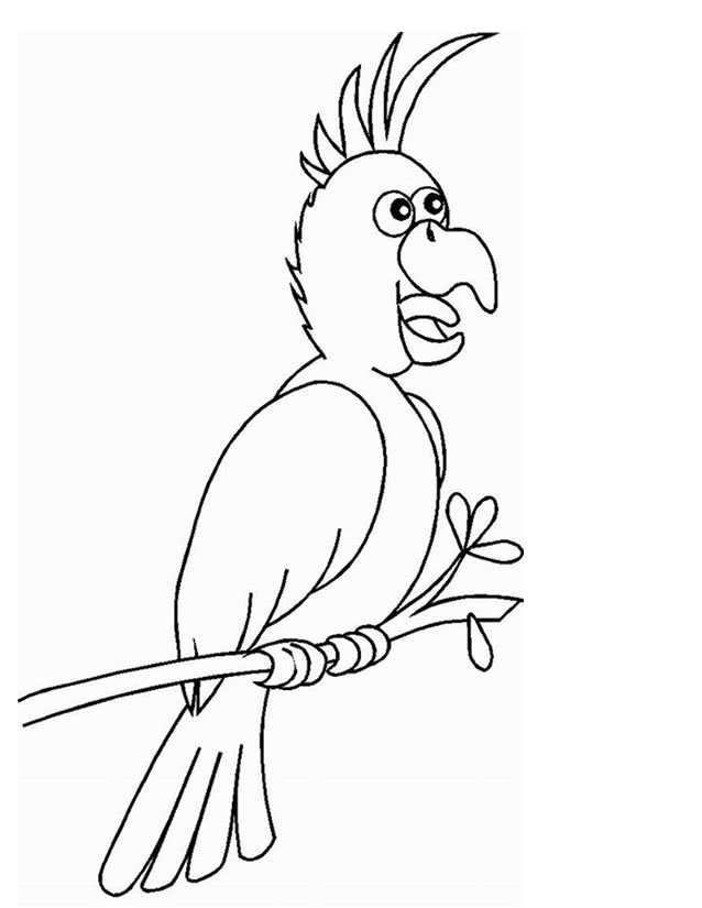 着色页: 鹦鹉 (动物) #16207 - 免费可打印着色页