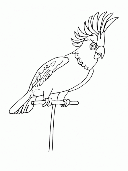 着色页: 鹦鹉 (动物) #16233 - 免费可打印着色页