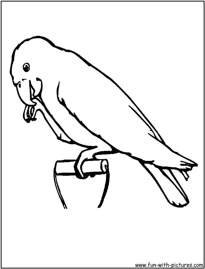 着色页: 鹦鹉 (动物) #16241 - 免费可打印着色页