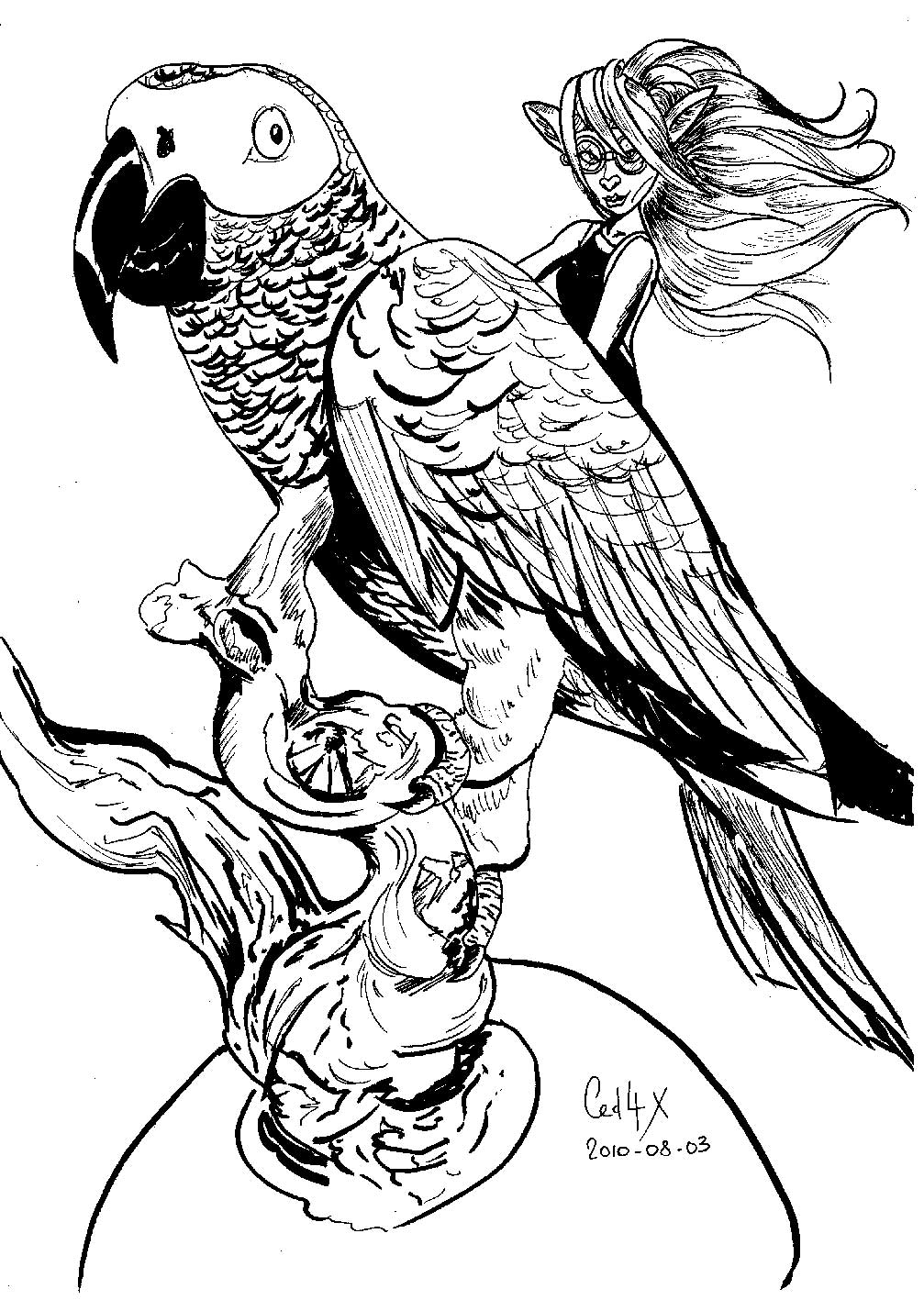 着色页: 鹦鹉 (动物) #16242 - 免费可打印着色页
