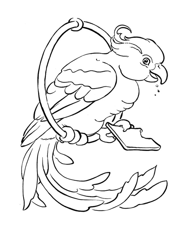 着色页: 鹦鹉 (动物) #16252 - 免费可打印着色页