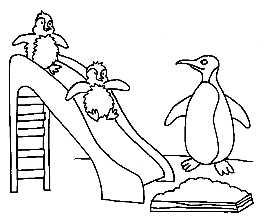 着色页: 企鹅 (动物) #16825 - 免费可打印着色页