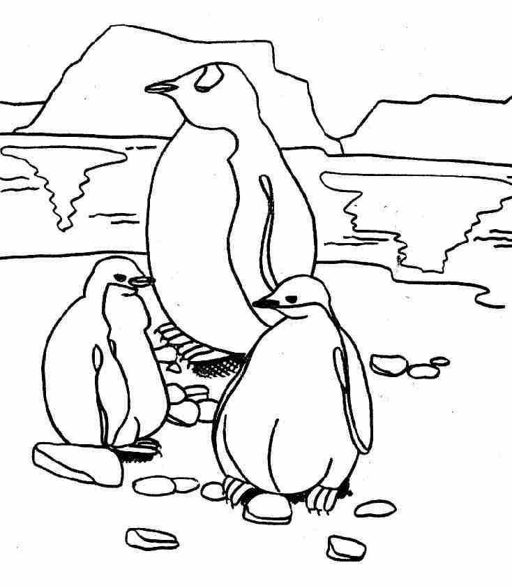 着色页: 企鹅 (动物) #16876 - 免费可打印着色页